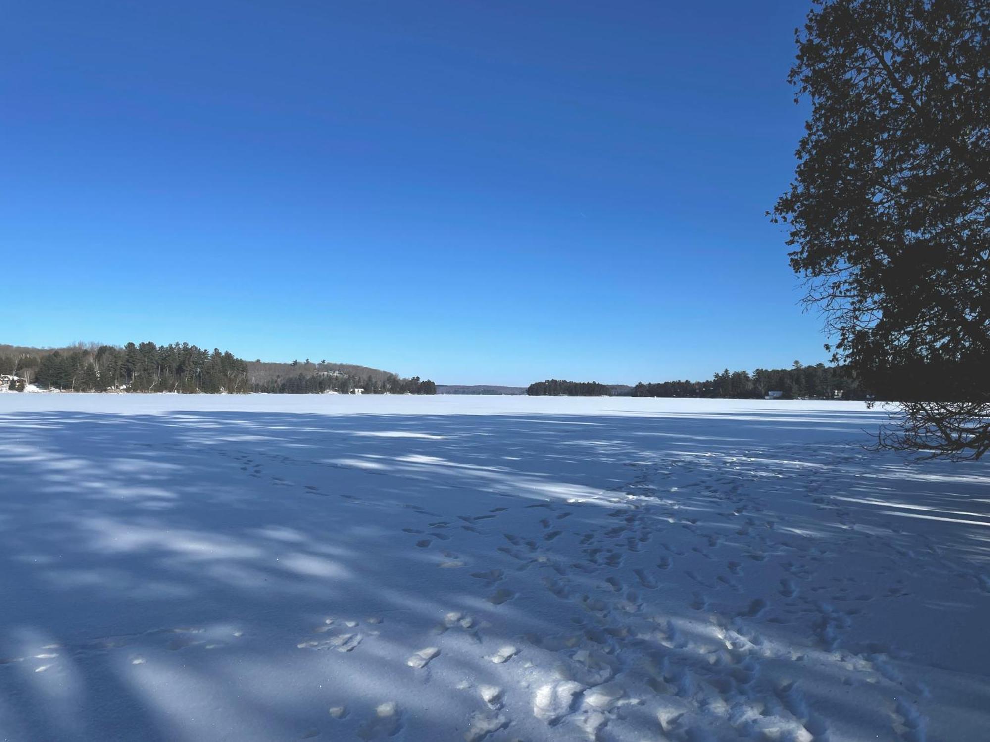 Haliburton Post House 호텔 Minden 외부 사진