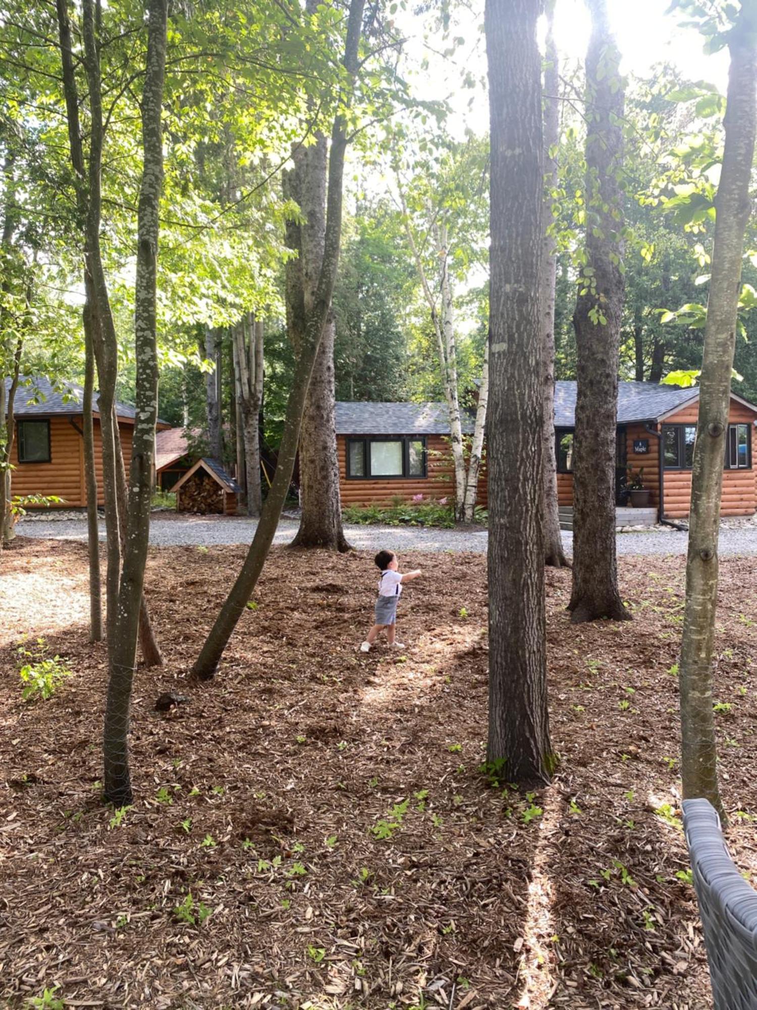Haliburton Post House 호텔 Minden 외부 사진